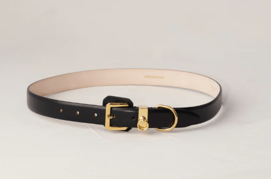 Jolinard Gold Belt - Lukka Boutique