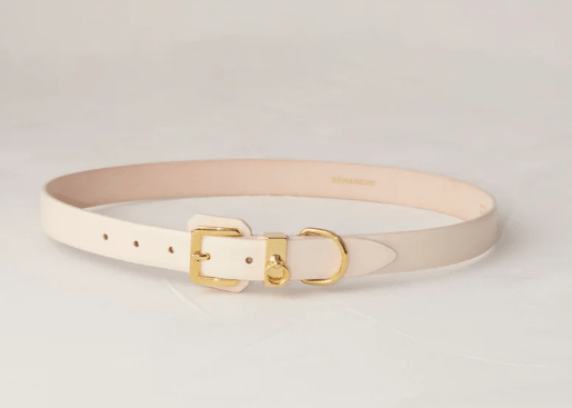 Jolinard Gold Belt - Lukka Boutique
