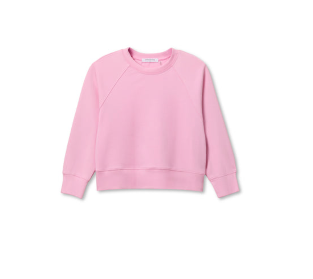 Nell Travel Crew Neck Sweatshirt in Sugar Pink - Lukka Boutique