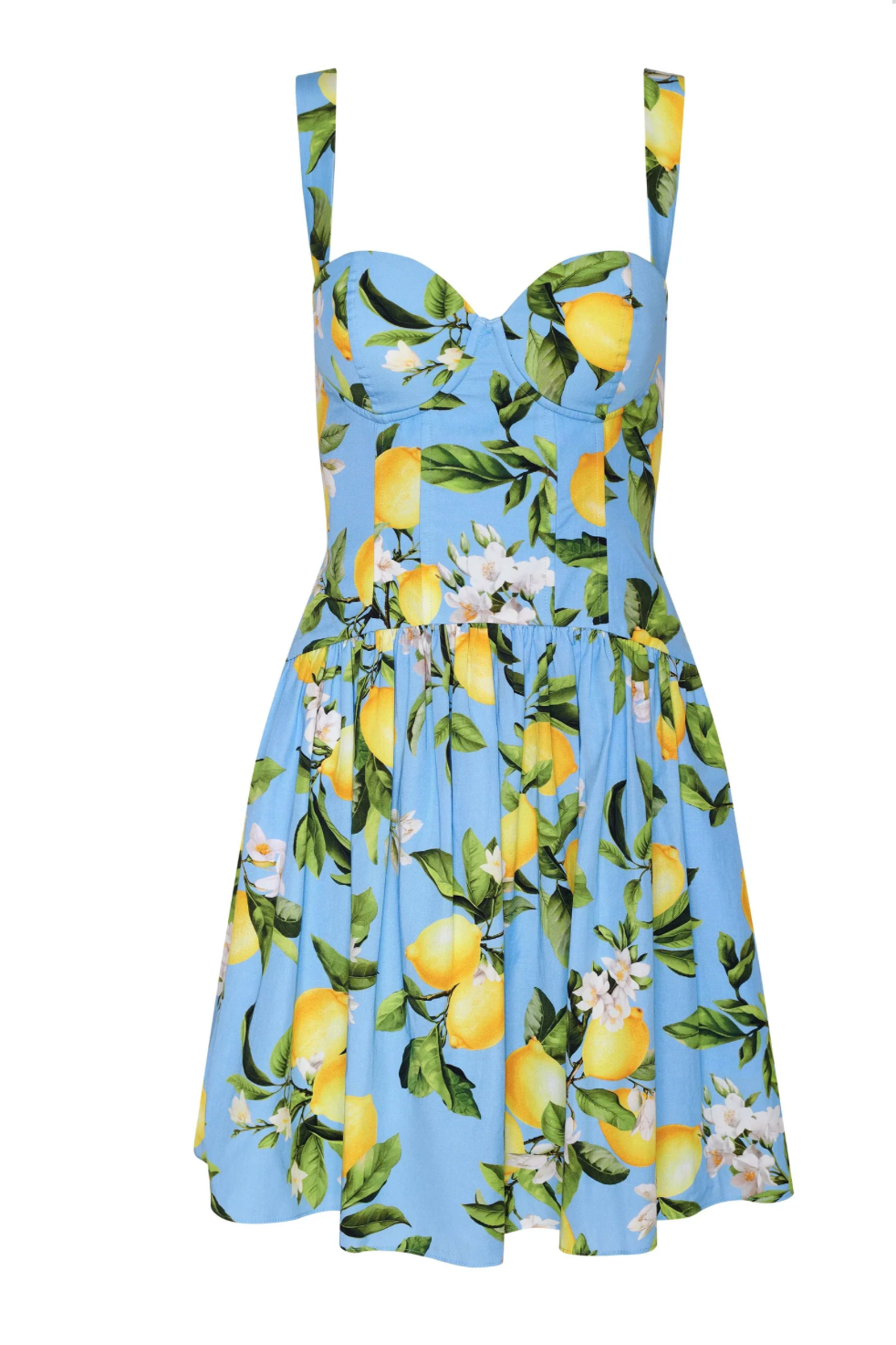 Jai Drop Waist Wire Mini Dress in Sky Blue/Yellow Floral Lemon - Lukka Boutique