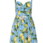 Jai Drop Waist Wire Mini Dress in Sky Blue/Yellow Floral Lemon - Lukka Boutique