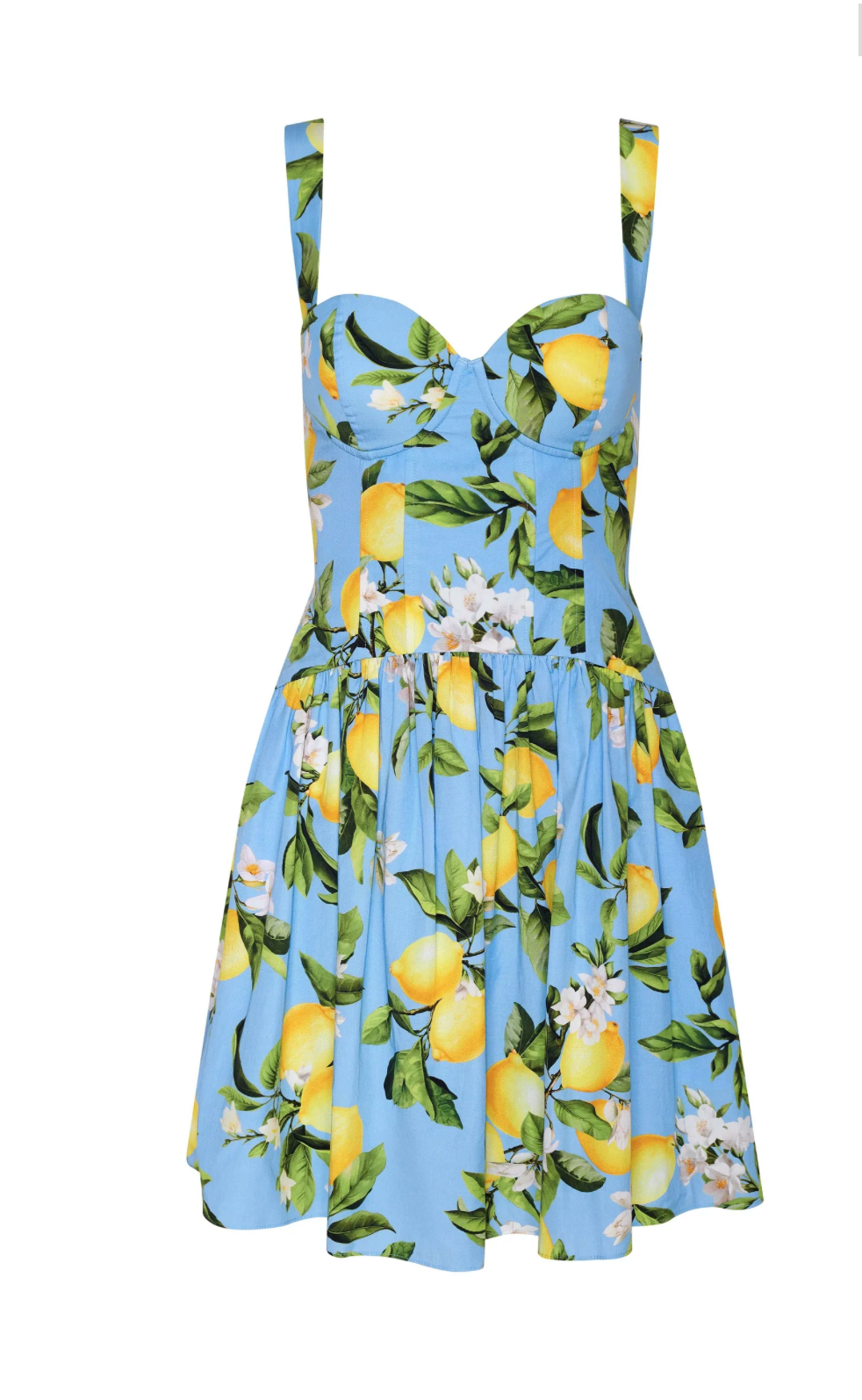Jai Drop Waist Wire Mini Dress in Sky Blue/Yellow Floral Lemon - Lukka Boutique