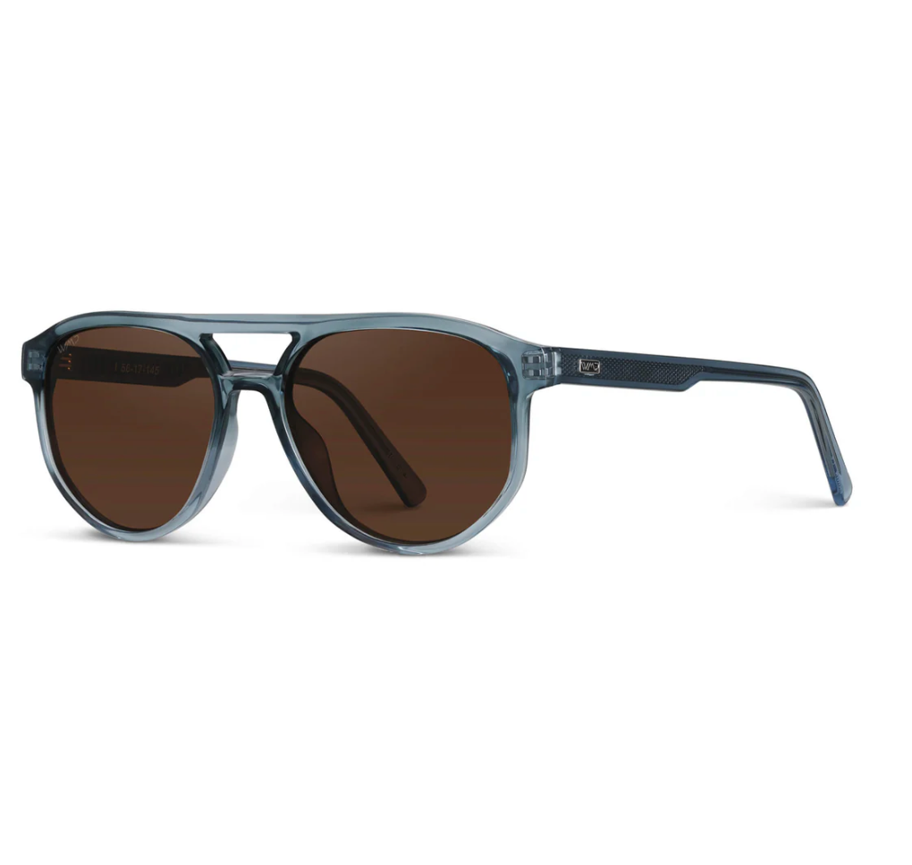 Hudson Polarized Sunglasses in Blue Brown - Lukka Boutique