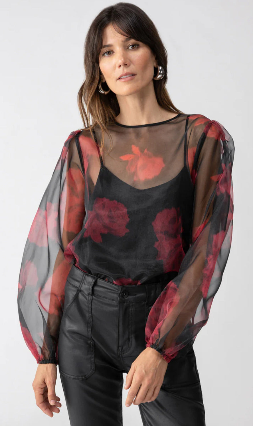 Moody Sheer Blouse