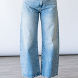 Arellia Ankle Barrel Leg Jean in Cosmic Embellished