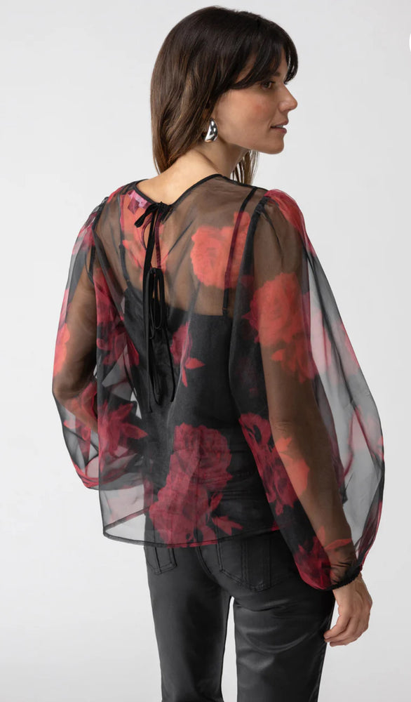 
                  
                    Moody Sheer Blouse
                  
                