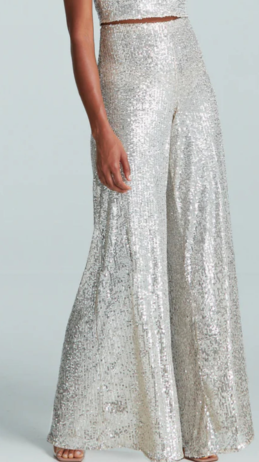 Sequin Mesh Wide Leg Pant